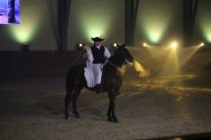 Mini IMG 5915